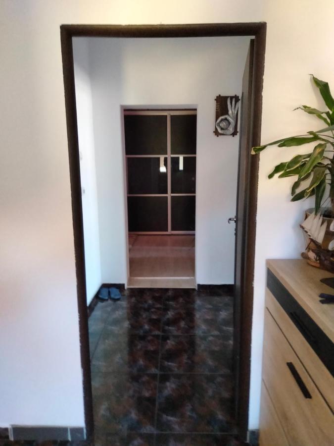 Apartament Cu Terasa La Casa Tina Timisoara Exterior foto