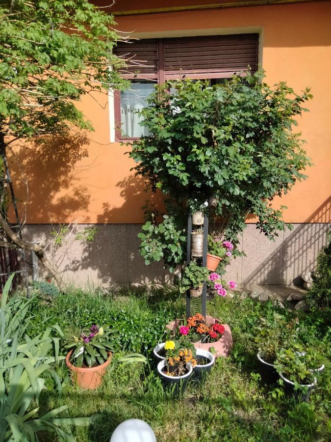 Apartament Cu Terasa La Casa Tina Timisoara Exterior foto